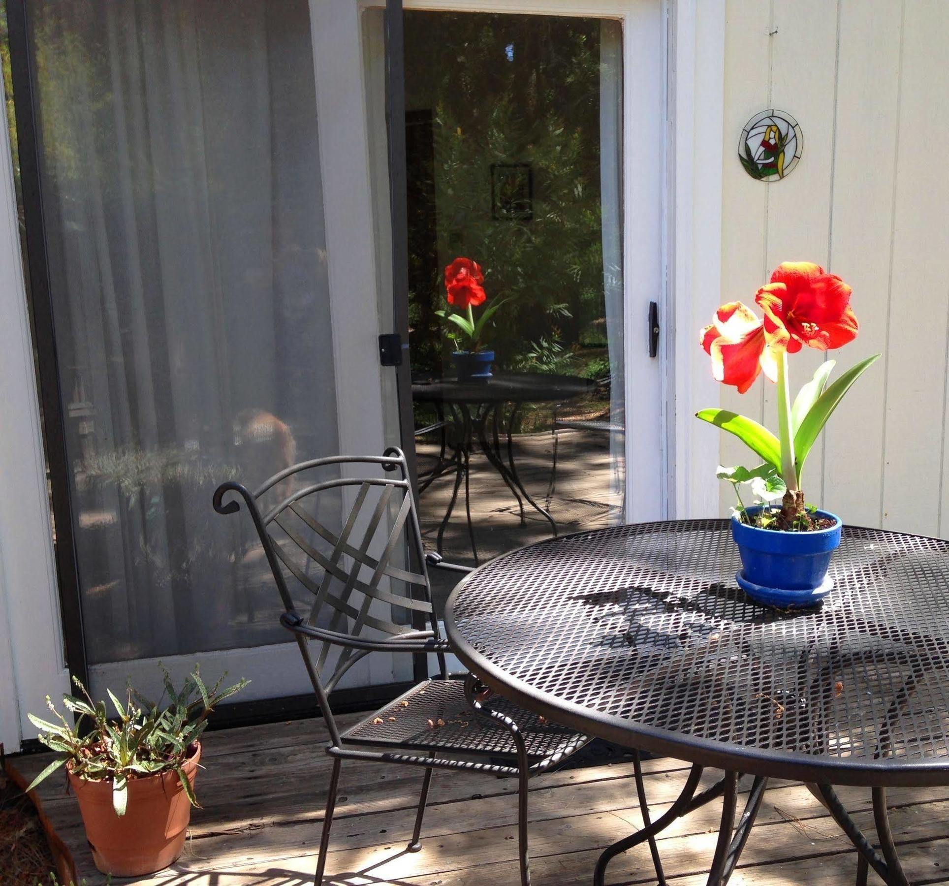 Backyard Garden Oasis Bed & Breakfast Middletown Ngoại thất bức ảnh