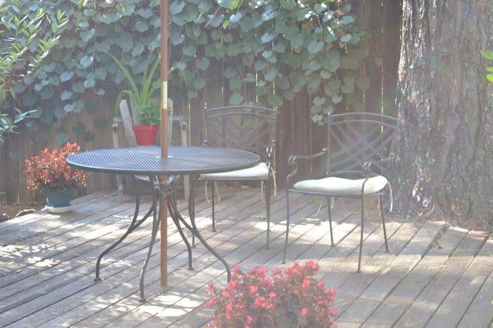 Backyard Garden Oasis Bed & Breakfast Middletown Ngoại thất bức ảnh